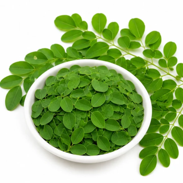 Moringa Ayurvedic ingredient