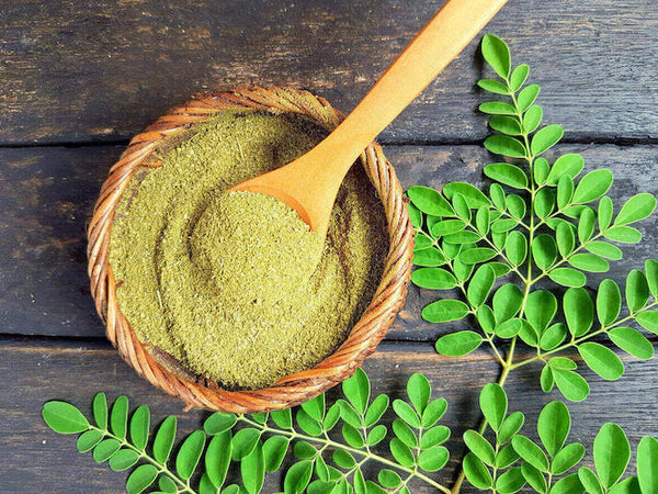 Moringa powder in a bowl with fresh moringa leaves